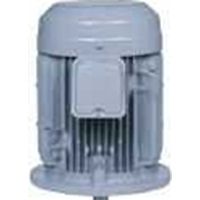 Y@VXe VTFO-K 1.5KW 4P 200V HBAu[Lt O[^ UE[g (SO^ HBAu[Lt ^)