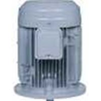 日立産機システム VTFO-KK 37KW 4P 200V 三相モータ ザ・モートル (全閉外扇型 立型)