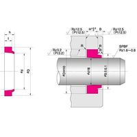 NOK pbL DSI 215 (FQ0408D1) DSI^ _XgV[