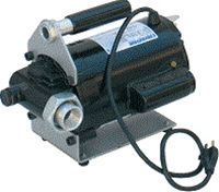 ANAVXe EV-200 (P) hʗp|v dnfBM|v SxICp