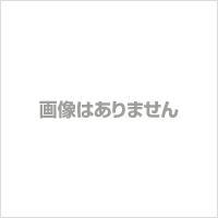 f\[ DENSO X|bgN[[ tB^[ W^(PPnjJlbg) (484401-2020)