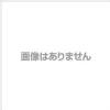 f\[ DENSO X|bgN[[ tB^[ W^(PPnjJlbg) (484401-2020)
