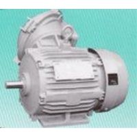  IK-FBKKX8-11kw-4P 200V O[^ (ψh`)