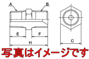 WbL쏊 WN12M10P X^bg