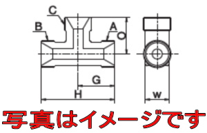 WbL쏊 WT06M06F04P `[Y