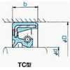 NOK ICV[ TC35508 (AE2057A0) TC^