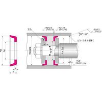 NOK pbL ODI24021520 (FU1654H0) sXgV[ppbL ODI^